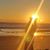 Graciela Leibold Androes's profile image