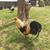 Greg Bozarth Sr.'s profile image