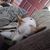 Mike Galyon's profile image