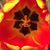 Leslye Colvin's profile image