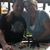 Trisha Trahan Tant's profile image
