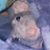 Laura Tukey's profile image
