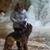 Patti Zeller Will's profile image