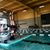 Celia Ferrer's profile image
