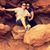 Jourdyn Mooring's profile image