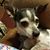Tammi Wesson's profile image