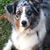 Melanie Beiser's profile image