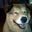 Pat K.'s profile image