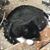 Becki Berger's profile image