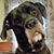 Beverly Stoll's profile image