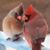 Jennifer Moreau's profile image