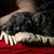 Leah Maze Furlow's profile image