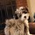 Lori Hudgeons Palmer's profile image