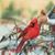 Mary Jo Kohl-Rogers's profile image