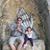 Michelle Martinson Kanner's profile image