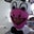 Casey G's profile image
