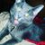 Emerald Katherine Greyson's profile image