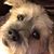 Robin Jordan Stenger's profile image