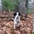 Kerry Gustafson Staurseth's profile image