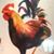 Neal Clarke's profile image