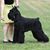 Jane Nagel's profile image