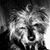 Carolyn A. Griffin's profile image