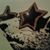 Miguel Ramos's profile image
