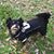 Stephanie Caranna's profile image