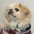 Oscar Benavides's profile image