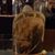 Jeff Gutowski's profile image
