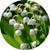 Ellen Cosgrove Yula's profile image