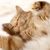 Barbara Shear- Smith's profile image