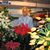 Robert John Scanlan's profile image