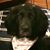Miranda Chamberlain's profile image