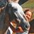 Lydia Jankovic's profile image