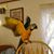 Joy Bostrom-Dore's profile image