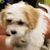 Janet McKinley's profile image