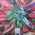Vicki Hineline's profile image