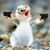 Carl Kniess's profile image