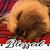 Karen Lansing's profile image