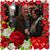 Holley Mullins's profile image