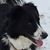 Lu MacNaughton's profile image
