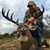 Donnie Gallier's profile image