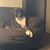 Crystal Summerfield's profile image