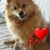 Grazia Pupillo's profile image