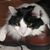 Patty Nowlan's profile image