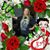 Juanita Mohney's profile image