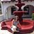 Debbie Thompson's profile image