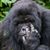 Kristine S Fluck's profile image