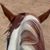 Shellie Johnson's profile image